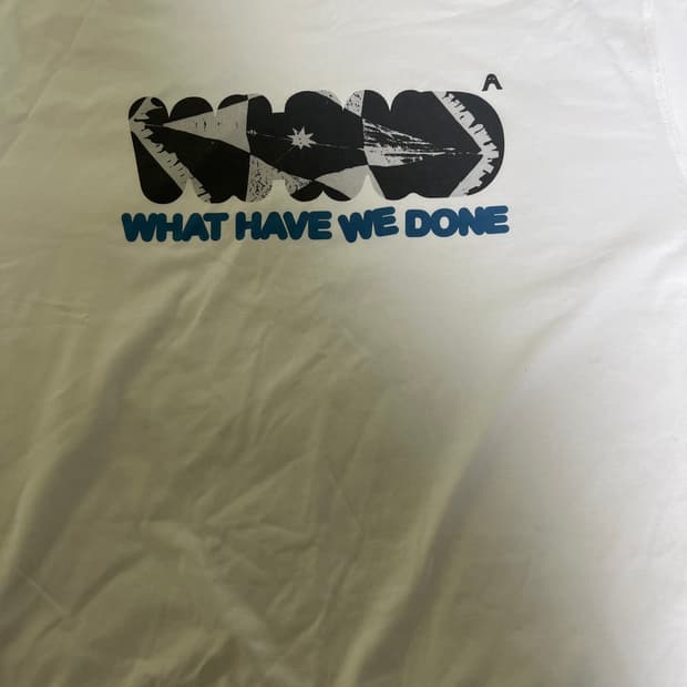 pH-1 what have we done 굿즈