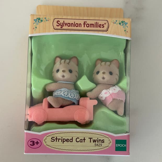 실바니안 줄무늬 고양이