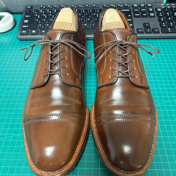 알든 컬러4 코도반 캡토 더비