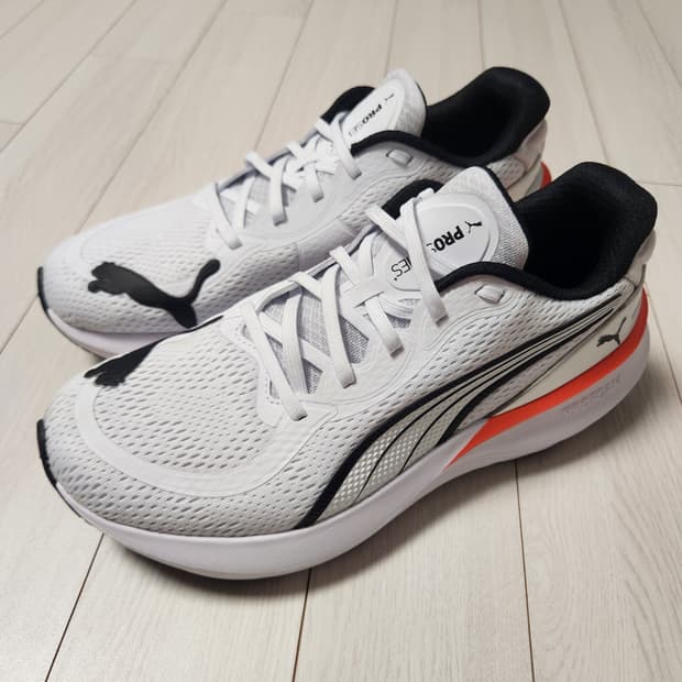 푸마 운동화 샌드 프로 2(31077909) 러닝화 사이즈275

여러 