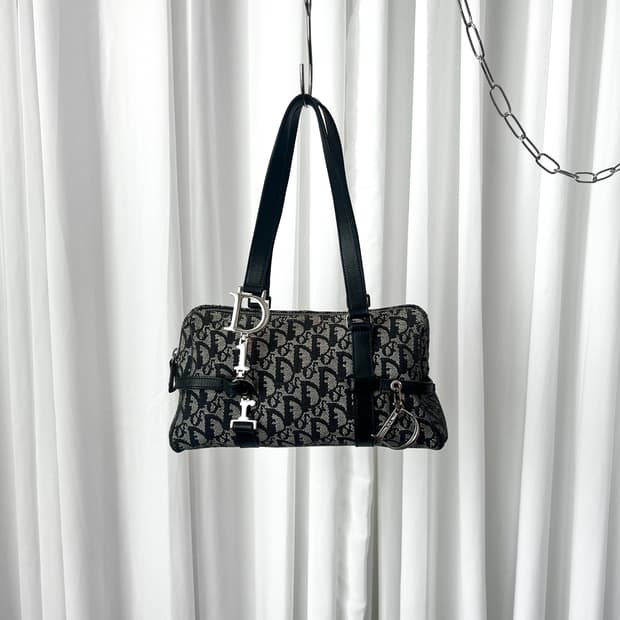 디올 오블리크 D링 참 숄더백