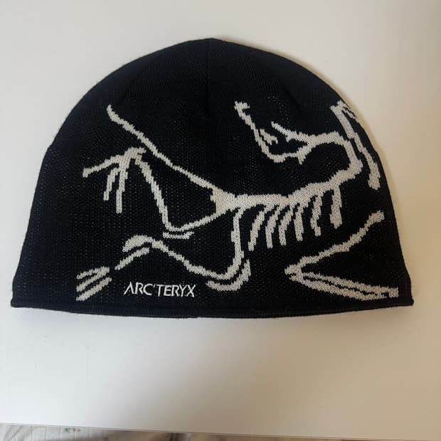 아크테릭스 비니 