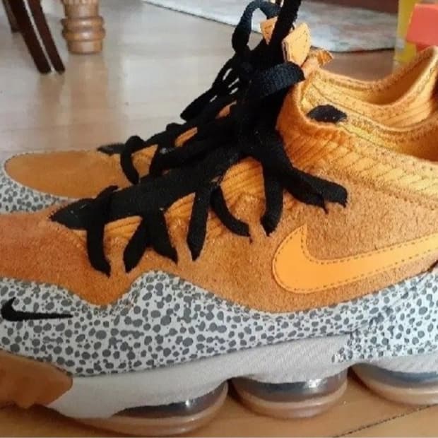 나이키 르브론 16 아트모스 사파리 275