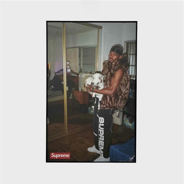 슈프림 선데미지 포스터 정품 (액자포함) Supreme Sun Damag