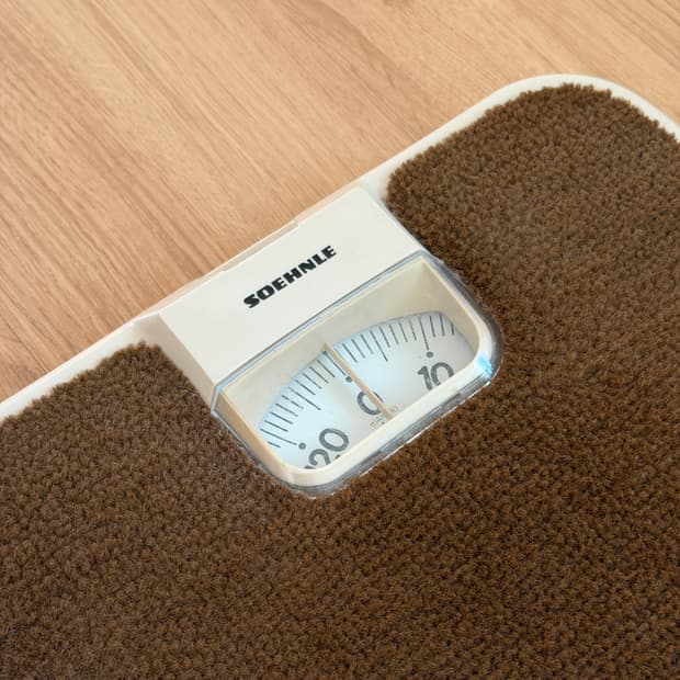 빈티지 SOEHNLE 체중계 브라운 컬러