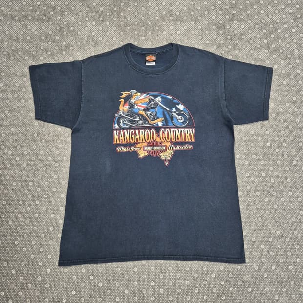 [L] 00s 할리데이비슨 오스트리아-634