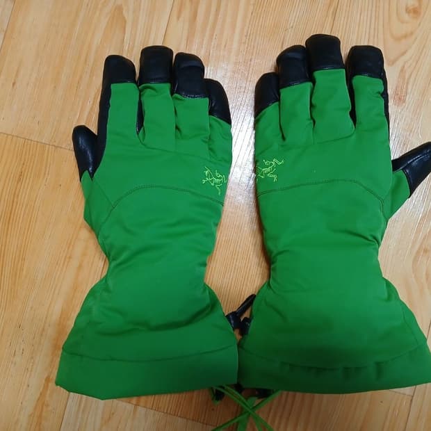 Arc'teryx Fission Globe. GORE-TEX. 넬슨 정품