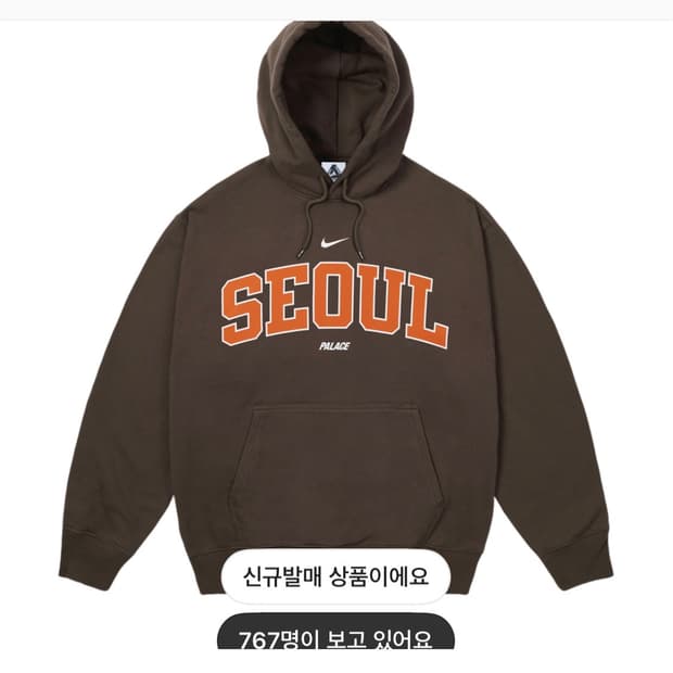 나이키 팔라스 서울 후드티 브라운 xxl