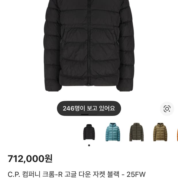 Cp 컴퍼니 고글다운