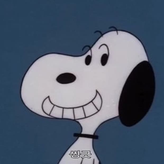 컨버스 레드 225