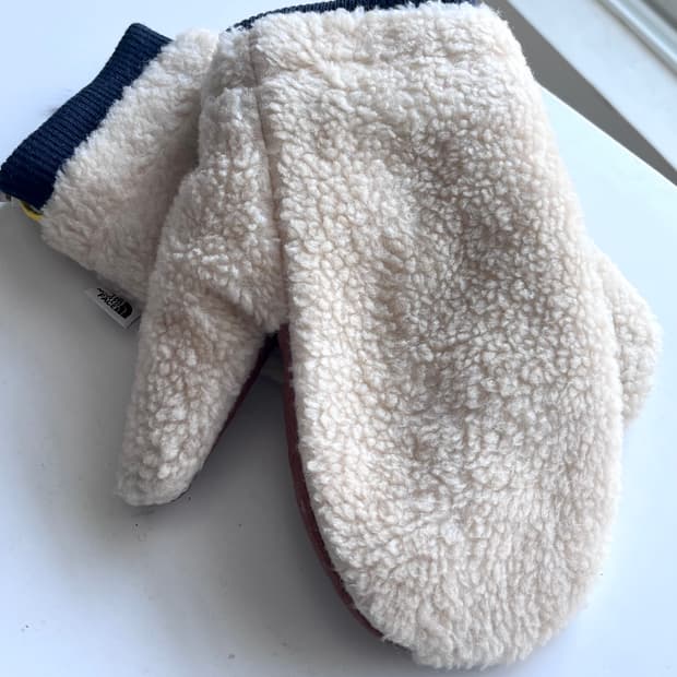 The North face brownlabel gloves노스페이스장갑