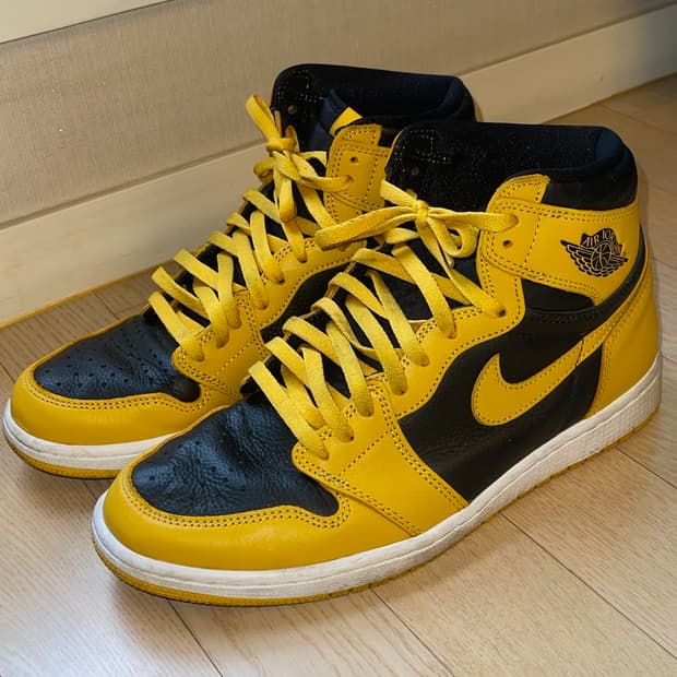 Jordan 1 Retro High OG Pollen (285)