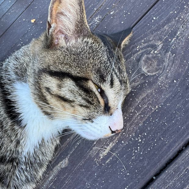 유블 니트 판매