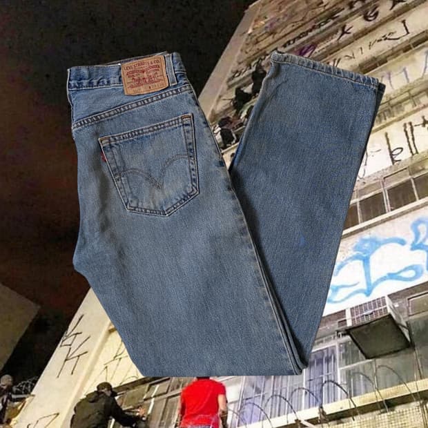 리바이스 550 (33) AB1793