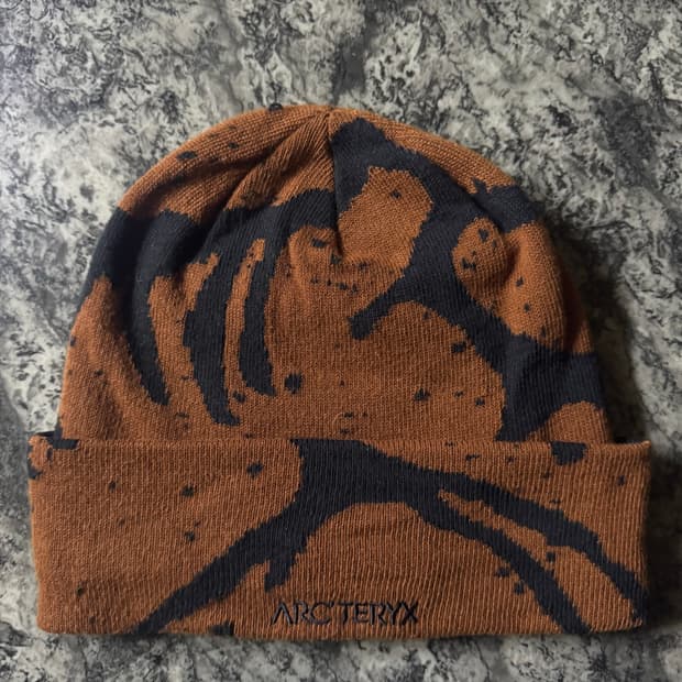 아크테릭스 비니