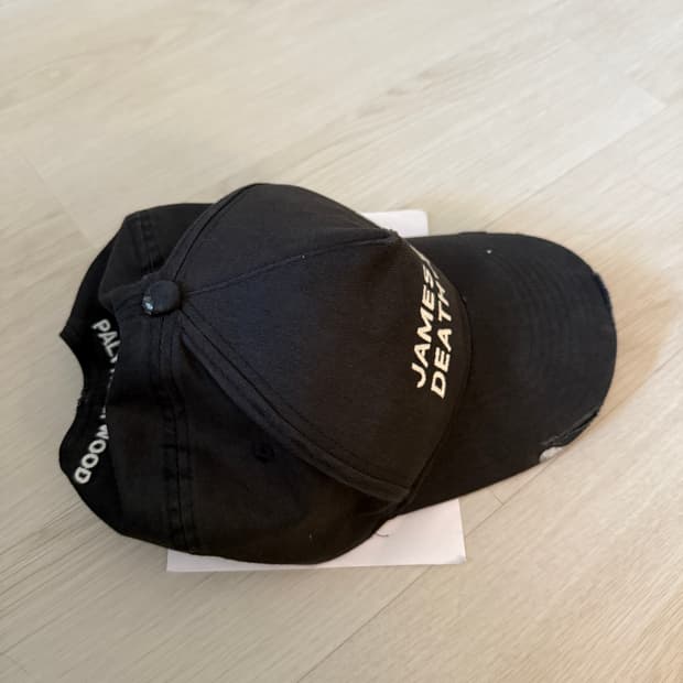 팔리할리우드 제임스딘 캡