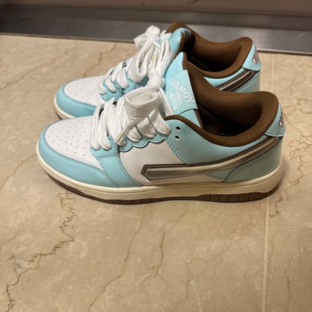 Vandy the pink cola shoes 270