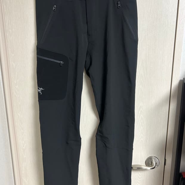 아크테릭스 바지 L사이즈 팜