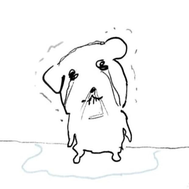 엉트르두 향수 구합니다…