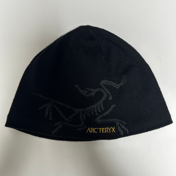 아크테릭스 토크 비니 구형