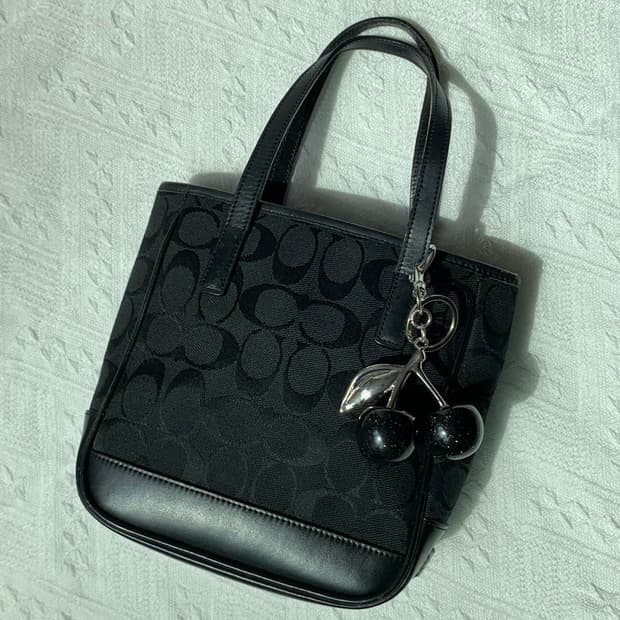 🖤 Coach 시그니처 올블랙 미니 토트백
