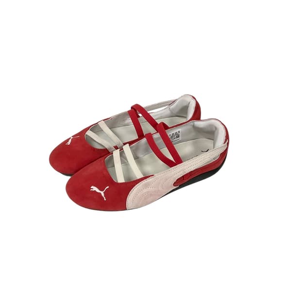 Puma (260)