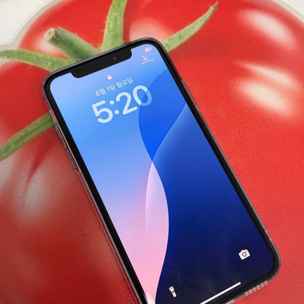 아이폰 XS 256기가