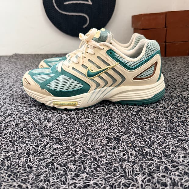 나이키 에어 페가수스 2K5 