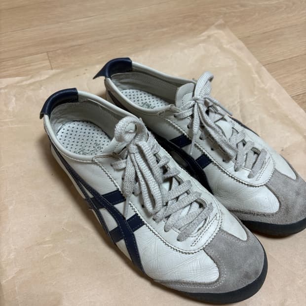 오니츠카 타이거 260