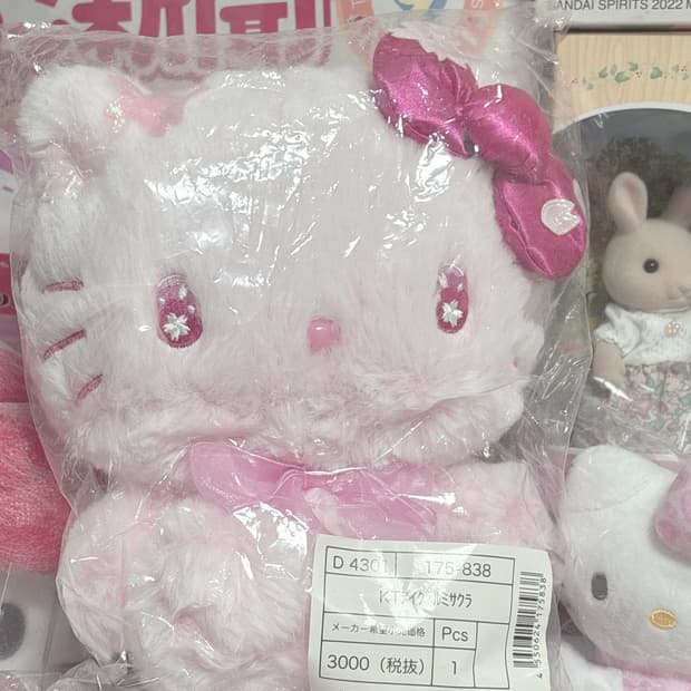 2025 사쿠라 누이 헬로키티