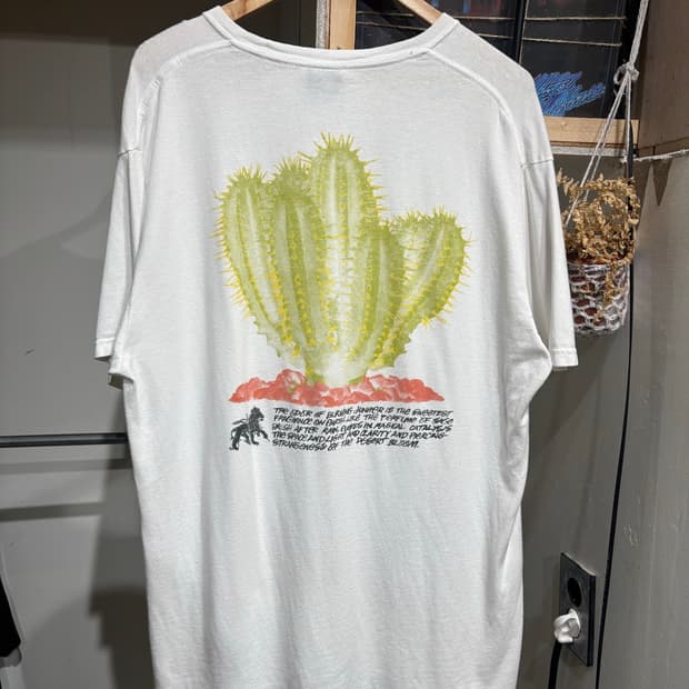 Stussy Desert Cactus Graphic T-Shirt