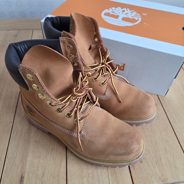 250 팀버랜드 6인치 프리미엄