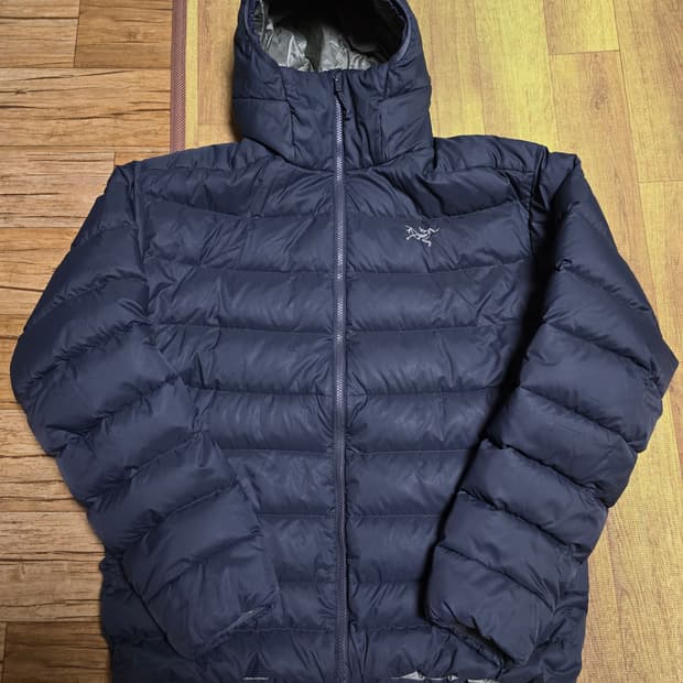 아크테릭스 토륨 AR 글리치