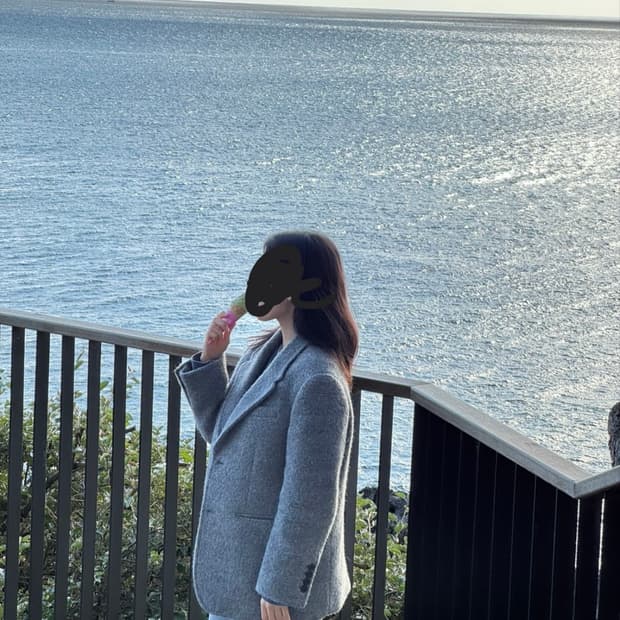 던스트 회색코트