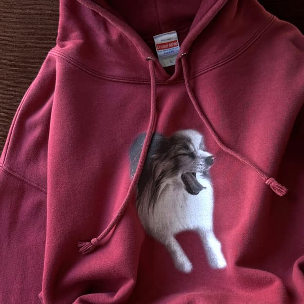 Design printing hooded sweatshirt