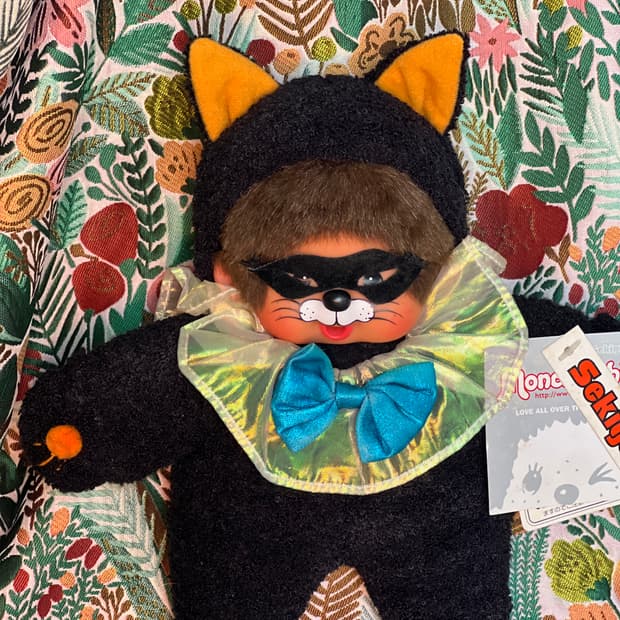 고전레어 고양이 몬치치