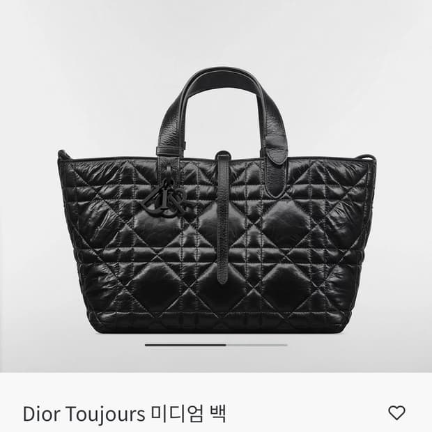 디올 뚜주흐 블랙 미디움