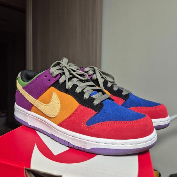 나이키 덩크로우 바이오텍