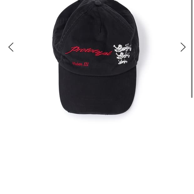ETCE LION BALL CAP 모자