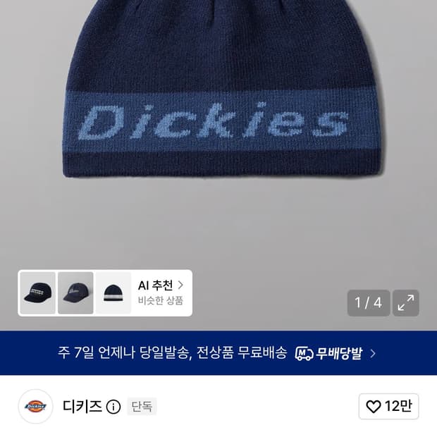 디키즈 비니