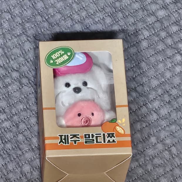 카카오프렌즈 in 제주 쬬르디 미니 인형 말티쬬 키링 강아지 미개봉