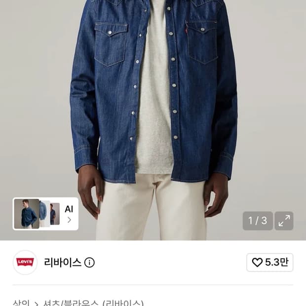 리바이스 바스토우 웨스턴 셔츠