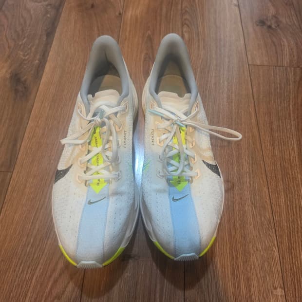 나이키 페가수스 플러스 줌엑스Nike pegasus plus zoomX사