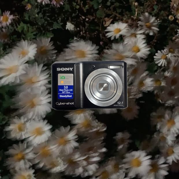 레어템!!) 소니Cyber-shot DSC-S2100