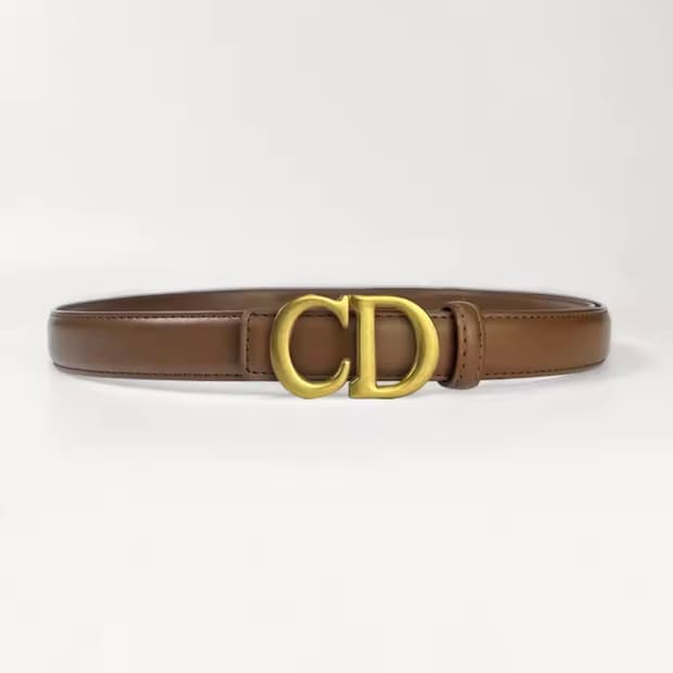 디올 CD 벨트 브라운