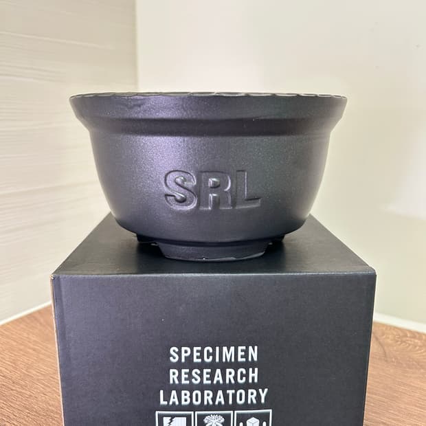 네이버후드 SRL 세라믹 화분 (NEIGHBORHOOD SRL POT)