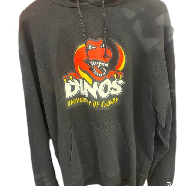 챔피온 후드 스웻셔츠