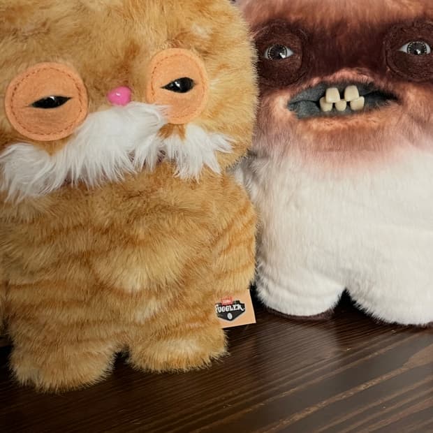 퍼글러 앨리캣츠 스팅크페이스 요퍼 일괄