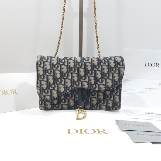 디올 오블리크 새들 체인 파우치