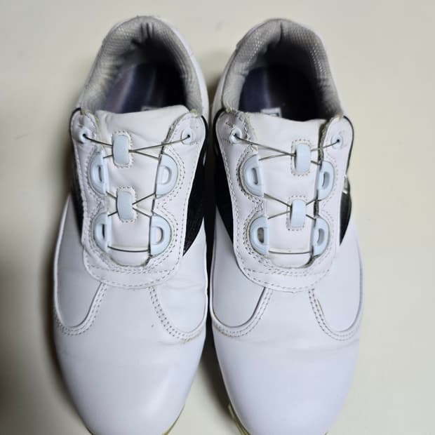 풋조이 DRYJOYS BOA 골프화 230